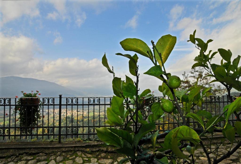 Casa Vacanze Le Muse Sillico Pieve Fosciana Eksteriør bilde